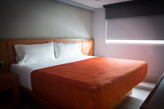 ホテル エル セナドール