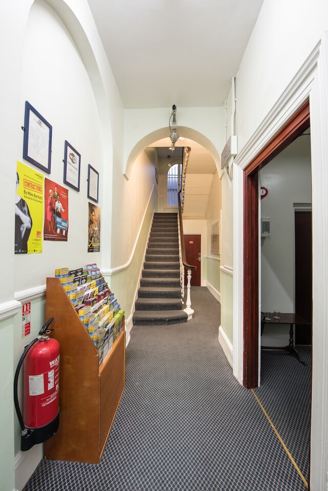 ドルフィン イン