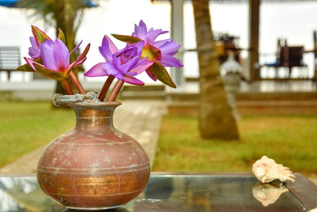 オリエンタル レスト ヒッカドゥワ