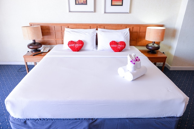 サンディ スプリング ホテル