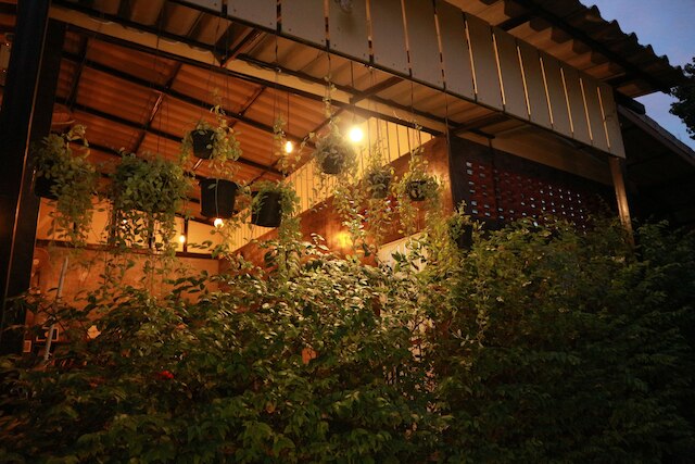 レイヴン ブルー