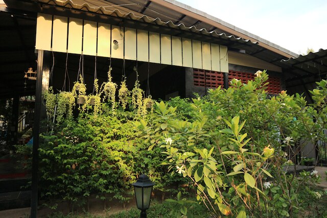 レイヴン ブルー