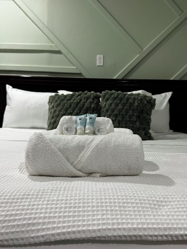 アラサリ ホテル ガイアナ