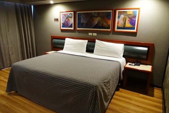 ホテルオスロ - メキシコシティー（ベニト・フアレス）