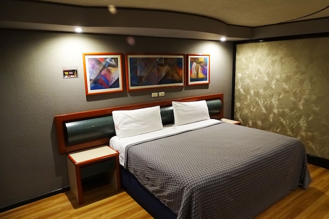 ホテルオスロ - メキシコシティー（ベニト・フアレス）