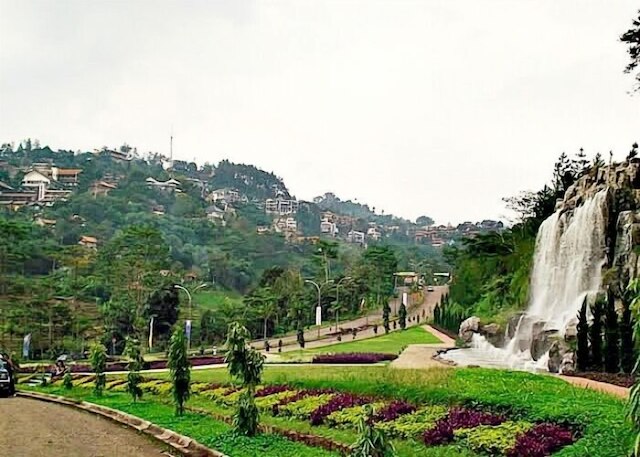 デ ゴティ ダゴ パーカー