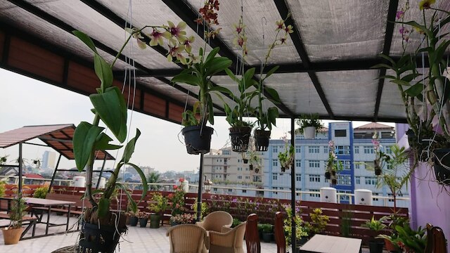 ロイヤル カーター ホテル