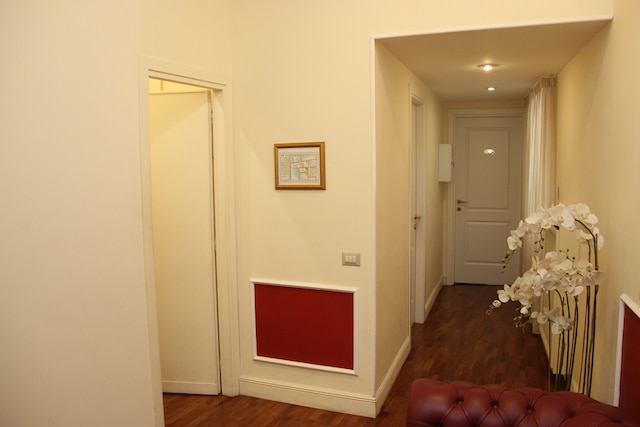 ディモラ フラッティーナ