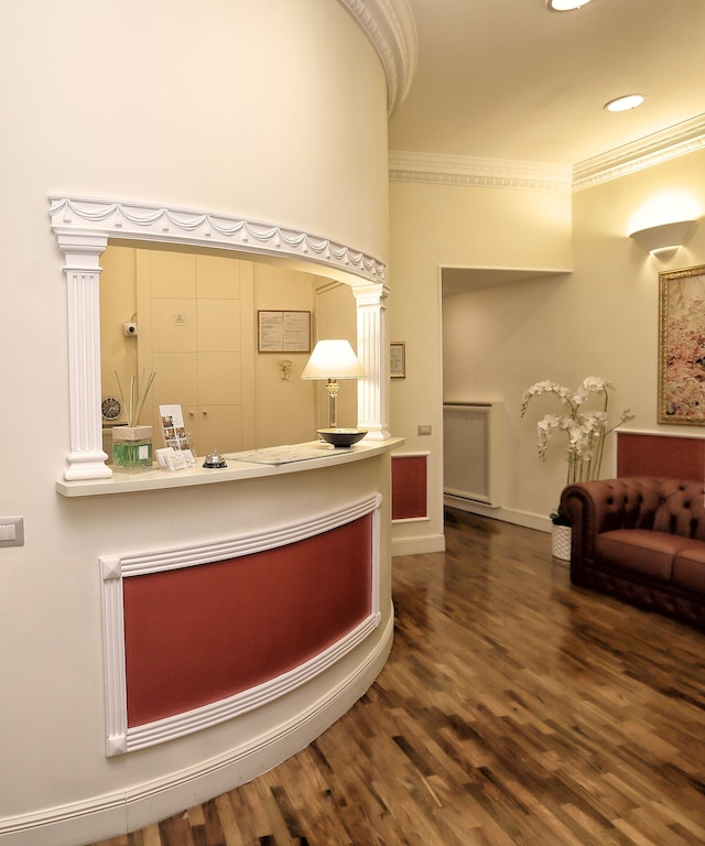 ディモラ フラッティーナ