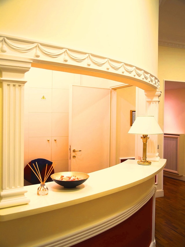 ディモラ フラッティーナ