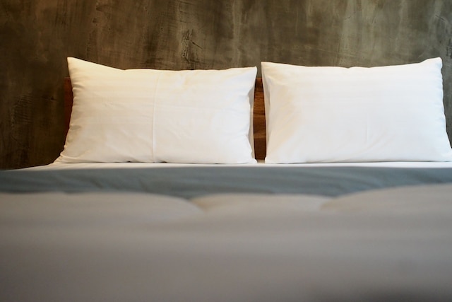 スリブムペン プラス