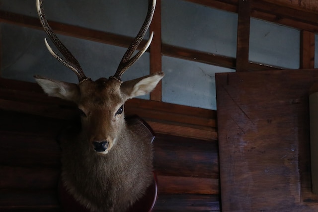 民宿イワナの里