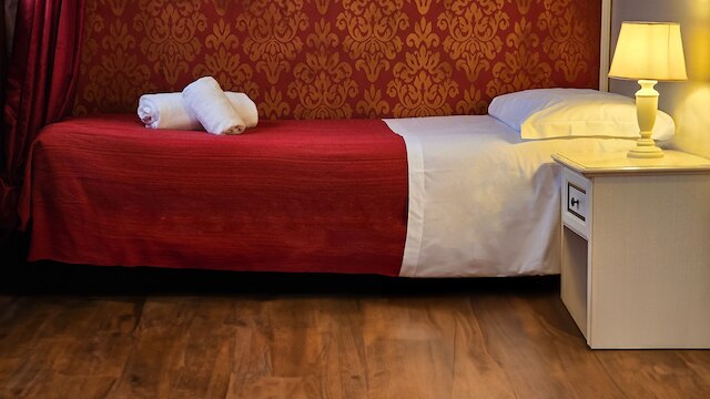 カメスナー 5 レオーニ