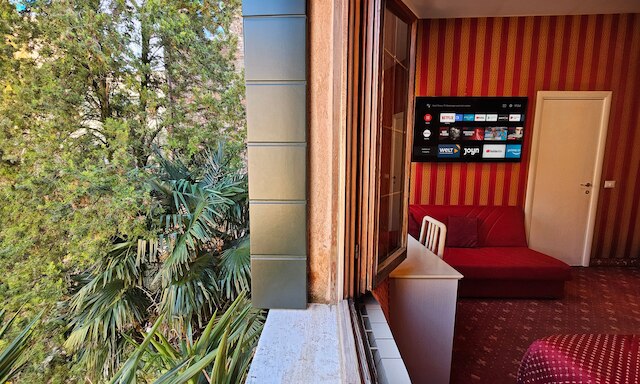 カメスナー 5 レオーニ