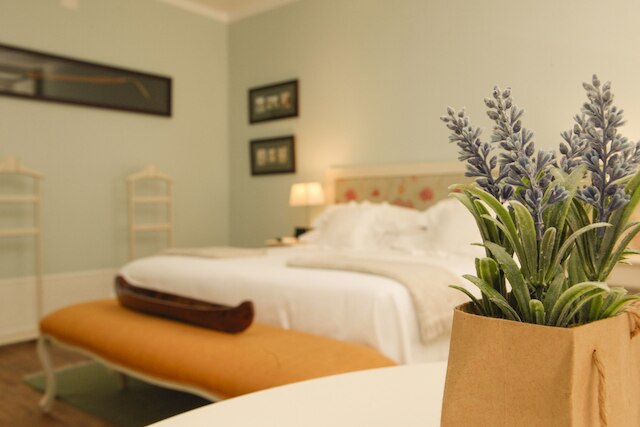 アレクリム アオ シアド