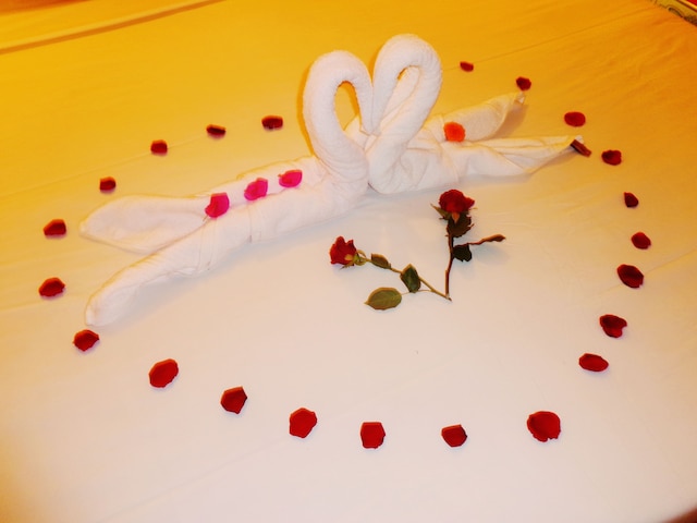 ジンジャーグラス ホームステイ