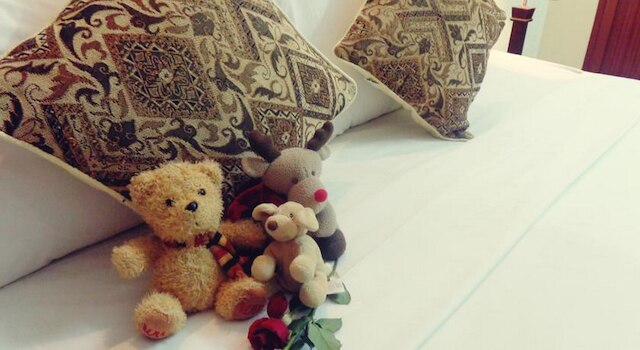 ジンジャーグラス ホームステイ