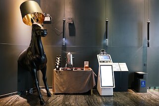 パコホテル ティーユーシールー メトロ広州 - 広州交易会期間中の無料シャトルバス (柏高酒店广州体育西路地铁站店（位于市中心）-广交会免费穿梭巴士)