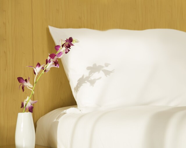 イビス ワン セントラル ホテル