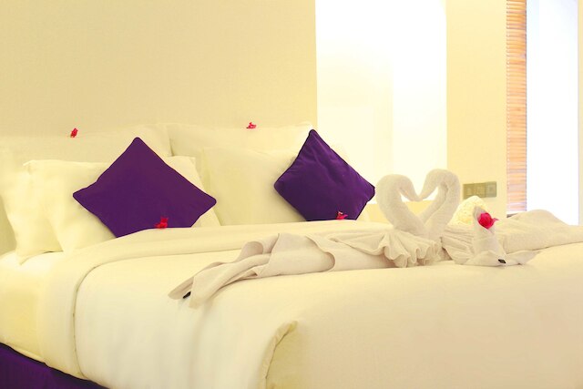 アメナ ウェルネス & リゾート