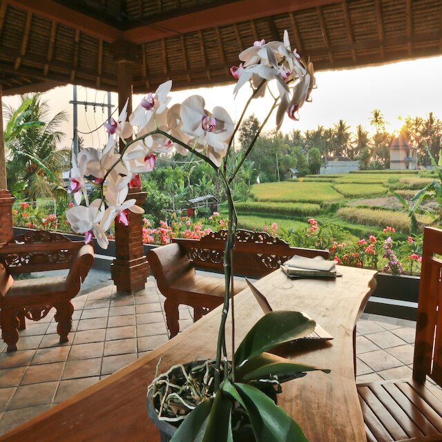 プリ スクスマ ウブド