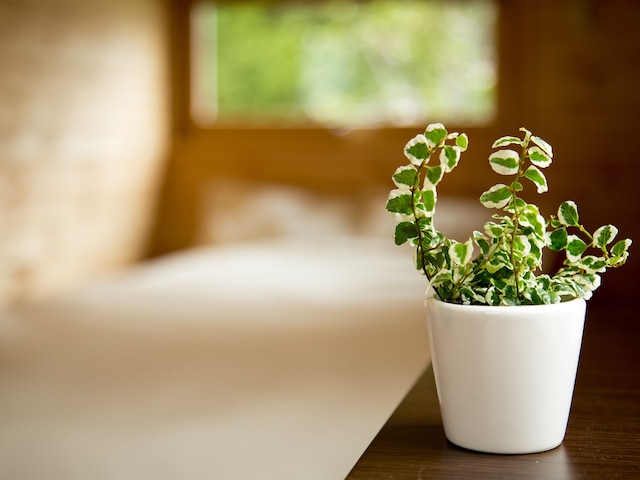 BRICK HOUSE ふらの