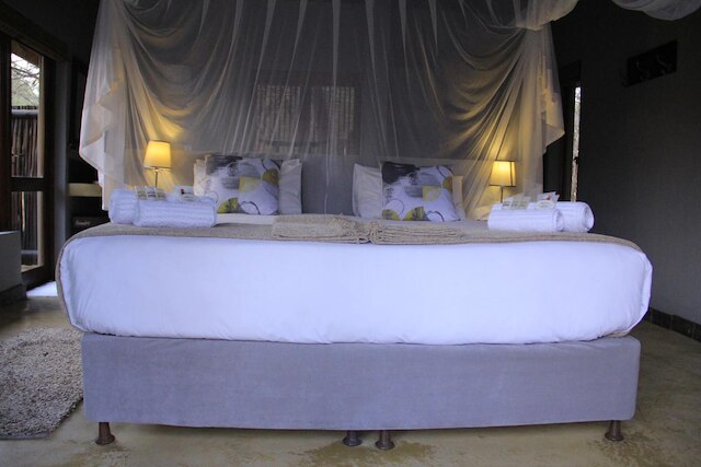 ラプターズ ロッジ N16