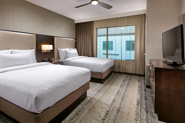 ホームウッド スイーツ バイ ヒルトン サン ディエゴ ダウンタウン / ベイサイド