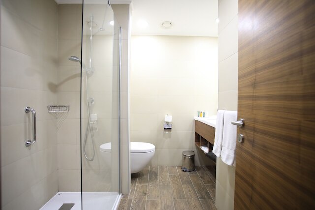 ヒルトン ガーデン イン アンカラ ギマット