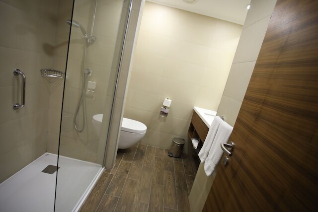 ヒルトン ガーデン イン アンカラ ギマット