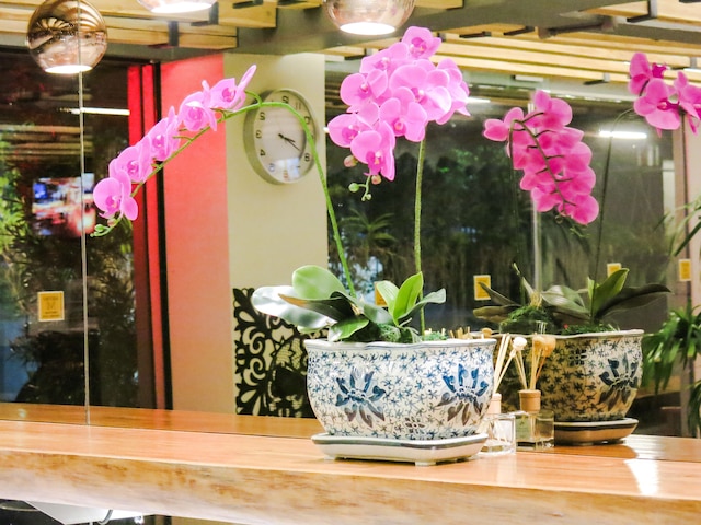 メトロ プラチュナム ブティック ホテル