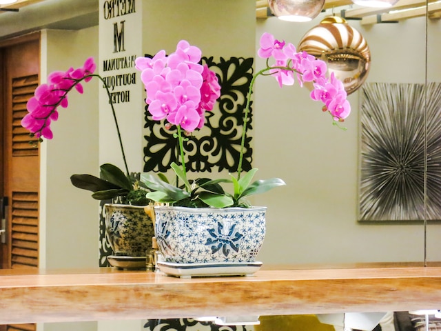 メトロ プラチュナム ブティック ホテル