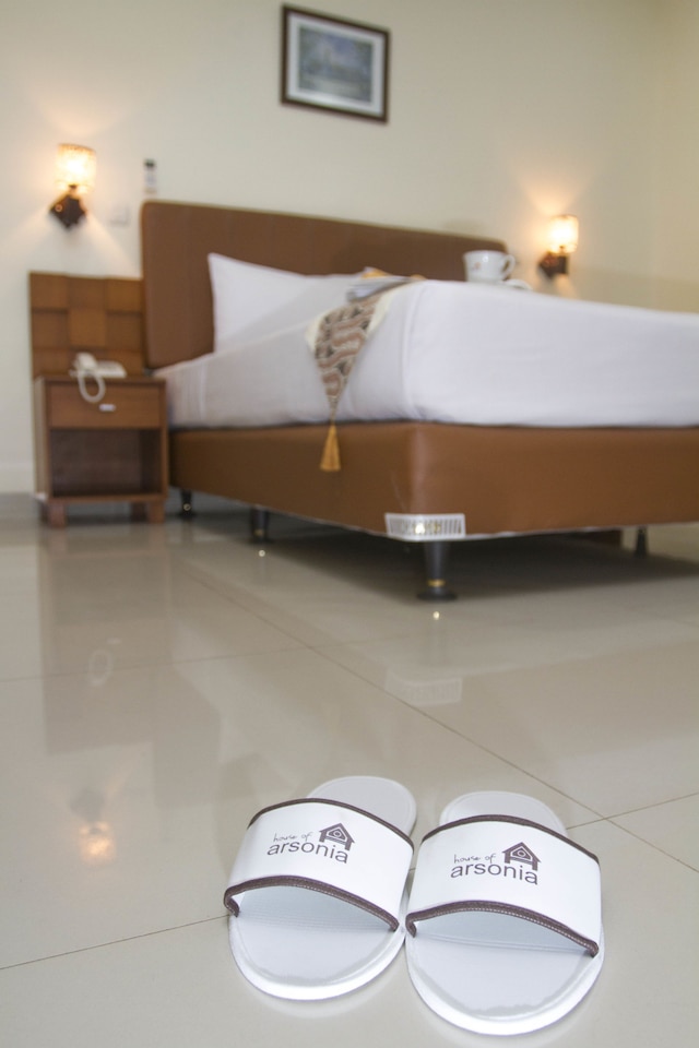 ハウス オブ アルソニア オーキッド