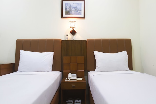 ハウス オブ アルソニア オーキッド