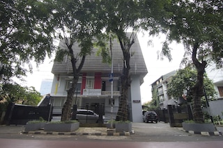 ハウス オブ アルソニア チューリップ