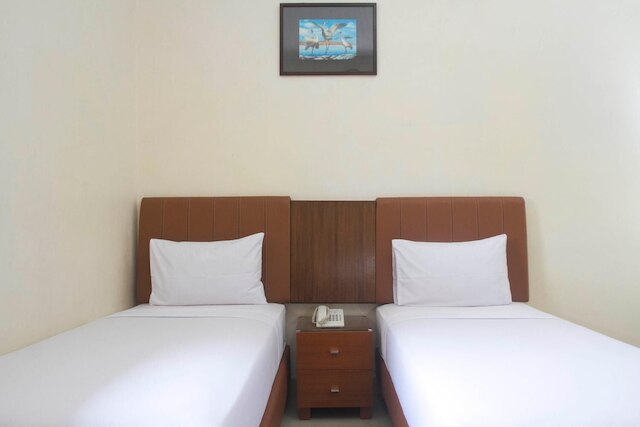 ハウス オブ アルソニア ブーゲンビリア