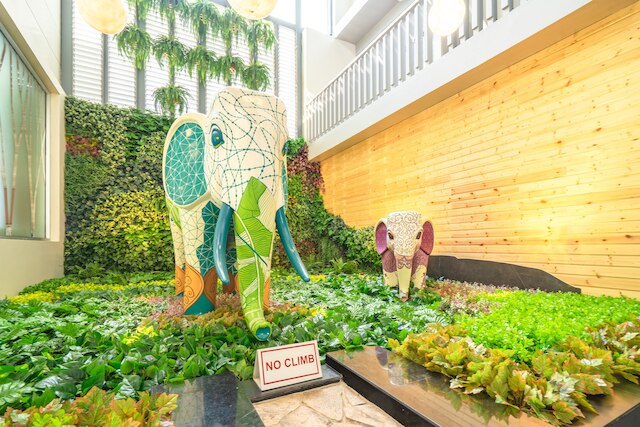 ラマダ バイ ウィンダム プーケット ディーヴナ パトン