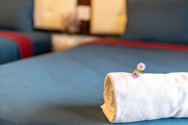 カーム ハウス ホテル - ホイ アン