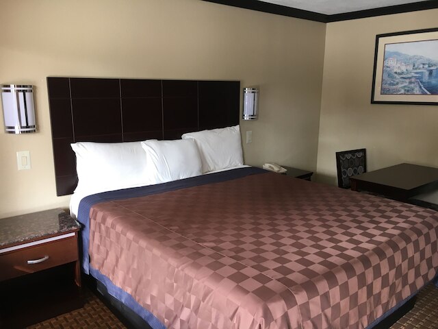 デル アモ イン