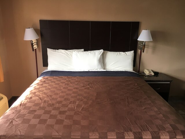 デル アモ イン