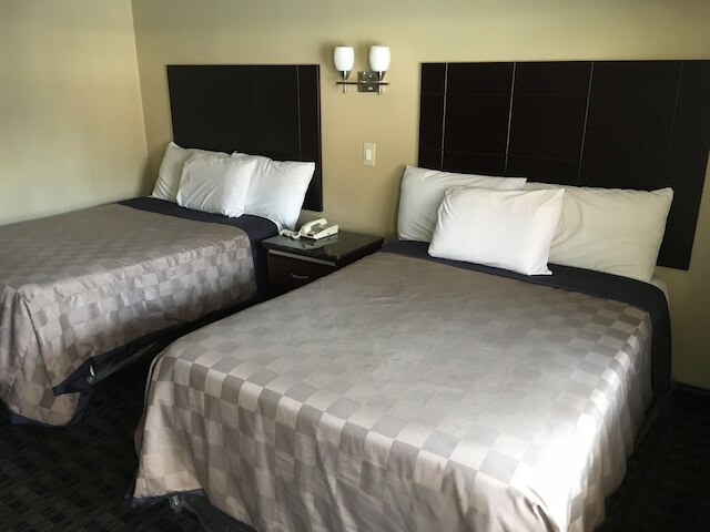 デル アモ イン