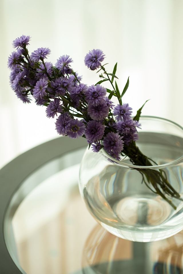 ベストウェスタン プレミア ラ グランド ホテル