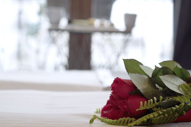 パーマーダ ホテル オールド シティ