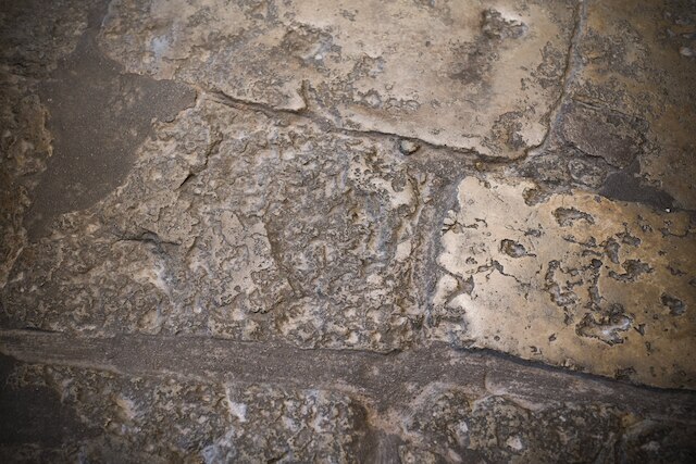 アルマルサ バイシャ & シアード