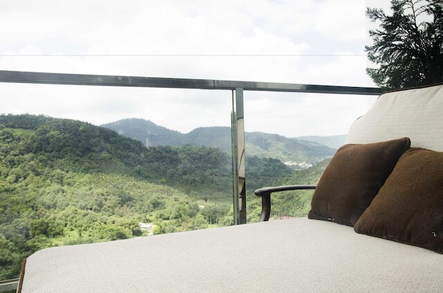 ブリス (幸福天使花園民宿)