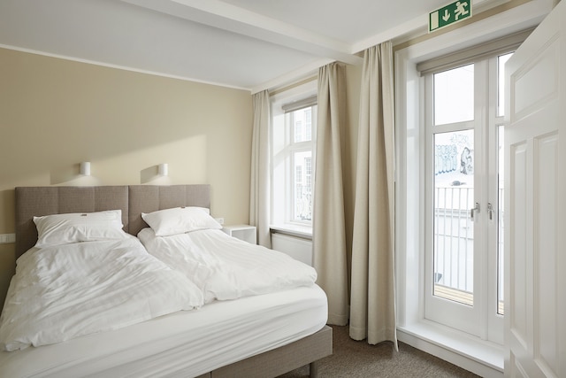 アイス アパートメンツ レイキャビク バイ ヘイマレイガ