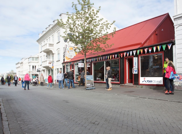 アイス アパートメンツ レイキャビク バイ ヘイマレイガ