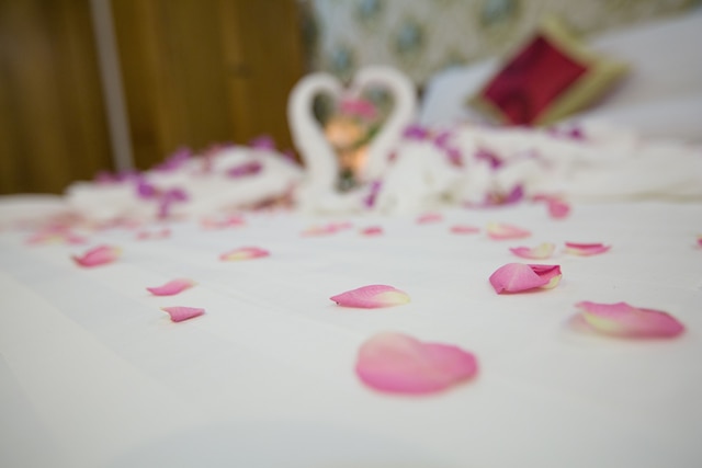 ザ エアポート ホテル