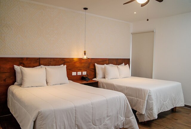 ラス カメリアス イン