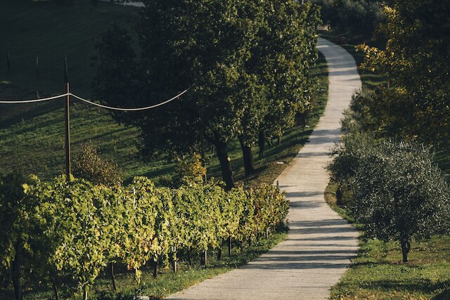 アグリツーリズモ アセタイア セレーニ